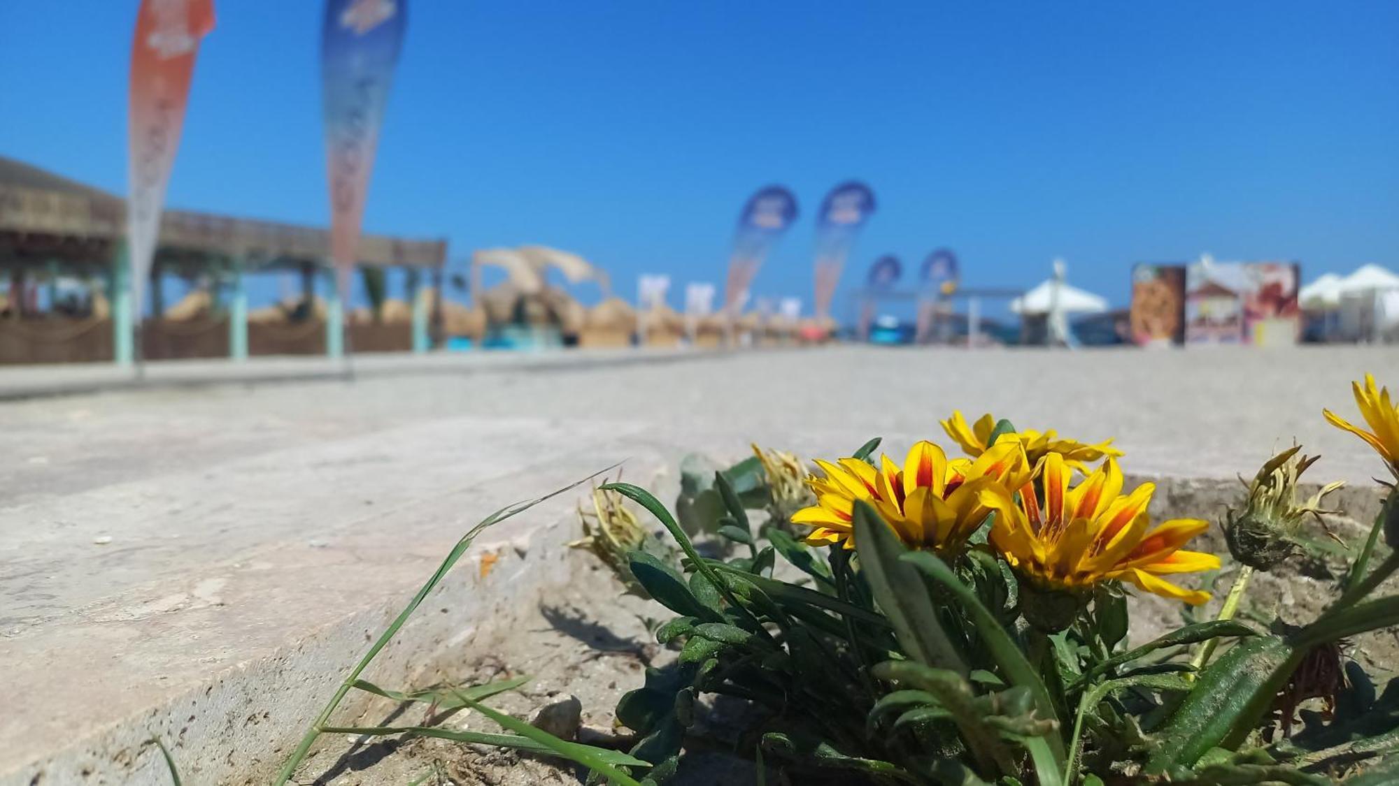 Năvodari Luxury Promenada Apartment - Frontal Beachfront Mamaia Nord מראה חיצוני תמונה