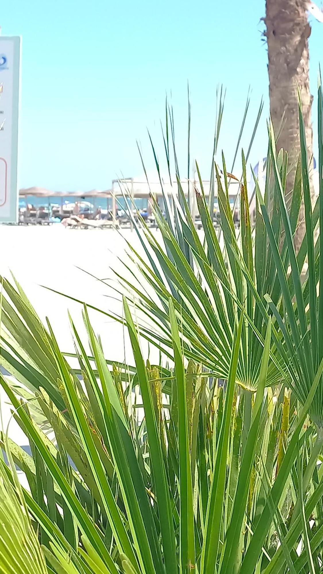 Năvodari Luxury Promenada Apartment - Frontal Beachfront Mamaia Nord מראה חיצוני תמונה